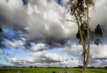 利物浦主帅感慨球队表现，称赞对手实力