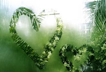 上海上港在主场击败河南建业，积分榜上升