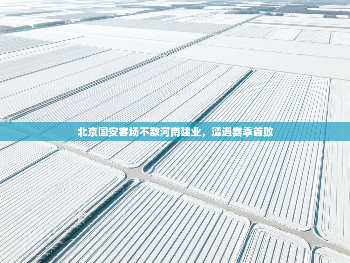 北京国安客场不敌河南建业,遭遇赛季首败 第2张