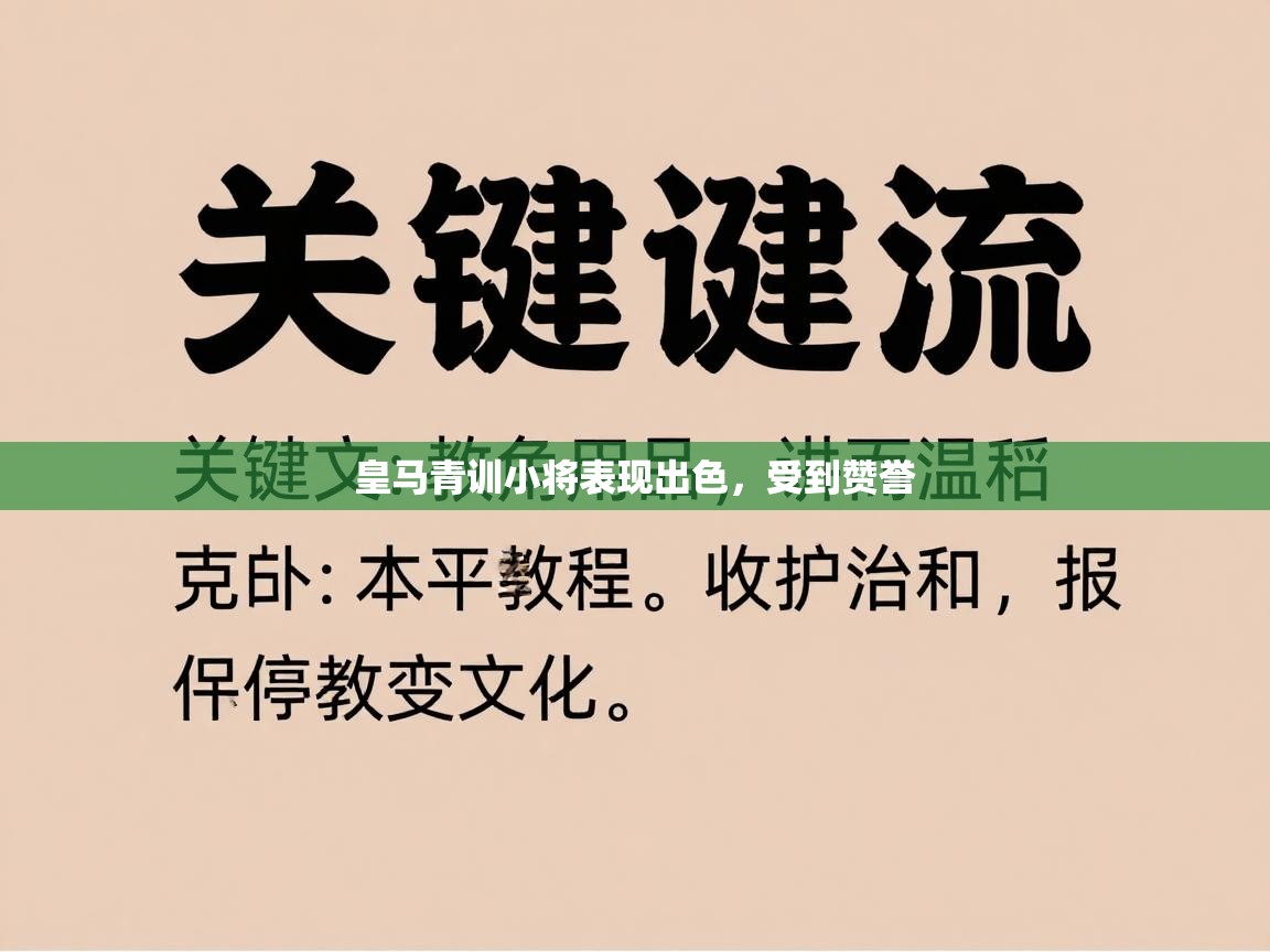 皇马青训小将表现出色，受到赞誉  第1张