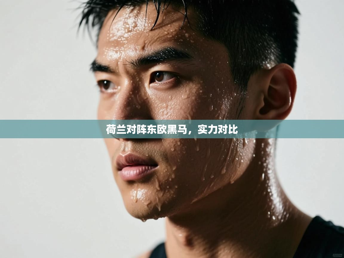 荷兰对阵东欧黑马,实力对比 第2张